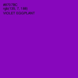 #8707BC - Violet Eggplant Color Image