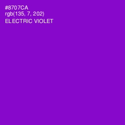#8707CA - Electric Violet Color Image