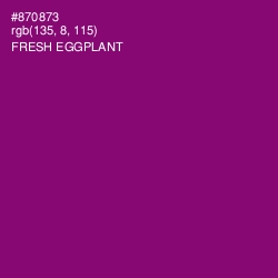 #870873 - Fresh Eggplant Color Image