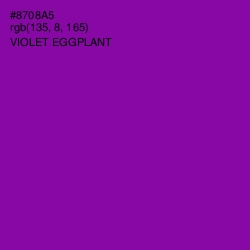 #8708A5 - Violet Eggplant Color Image