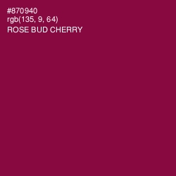 #870940 - Rose Bud Cherry Color Image