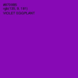 #8709B5 - Violet Eggplant Color Image