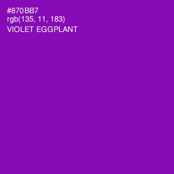 #870BB7 - Violet Eggplant Color Image