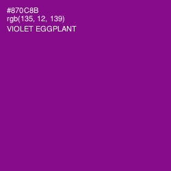 #870C8B - Violet Eggplant Color Image