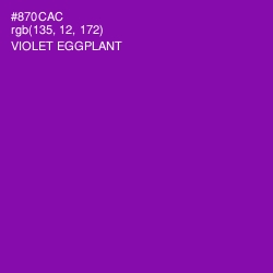 #870CAC - Violet Eggplant Color Image