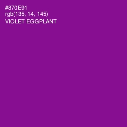 #870E91 - Violet Eggplant Color Image