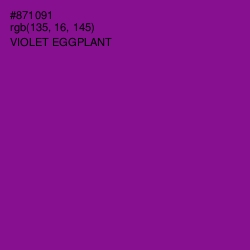 #871091 - Violet Eggplant Color Image