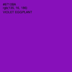 #8710BA - Violet Eggplant Color Image