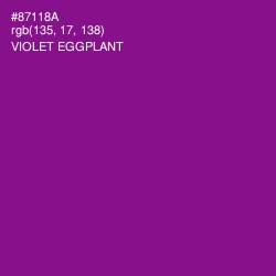 #87118A - Violet Eggplant Color Image