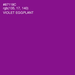 #87118C - Violet Eggplant Color Image