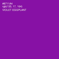 #8711A4 - Violet Eggplant Color Image