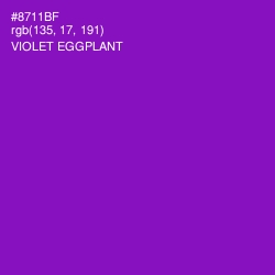 #8711BF - Violet Eggplant Color Image