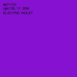 #8711D1 - Electric Violet Color Image