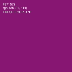 #871572 - Fresh Eggplant Color Image