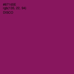 #87165E - Disco Color Image