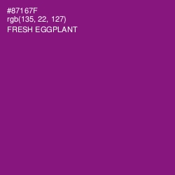 #87167F - Fresh Eggplant Color Image