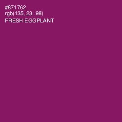 #871762 - Fresh Eggplant Color Image