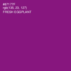 #87177F - Fresh Eggplant Color Image