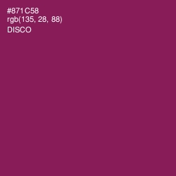 #871C58 - Disco Color Image