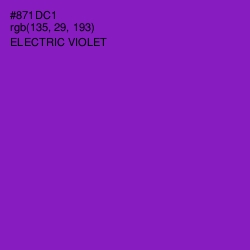 #871DC1 - Electric Violet Color Image