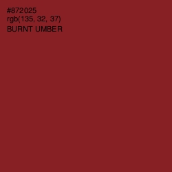 #872025 - Burnt Umber Color Image