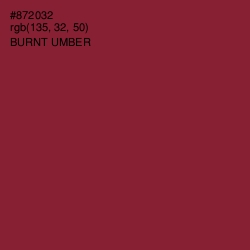 #872032 - Burnt Umber Color Image