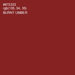 #872223 - Burnt Umber Color Image