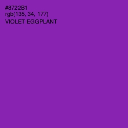 #8722B1 - Violet Eggplant Color Image