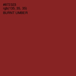 #872323 - Burnt Umber Color Image