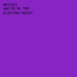 #8724C3 - Electric Violet Color Image