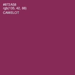 #872A58 - Camelot Color Image