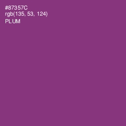 #87357C - Plum Color Image