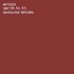#873633 - Sanguine Brown Color Image