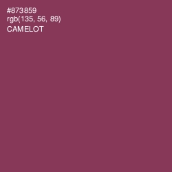 #873859 - Camelot Color Image