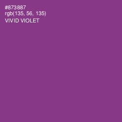 #873887 - Vivid Violet Color Image