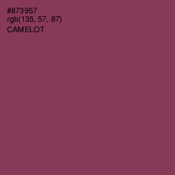 #873957 - Camelot Color Image