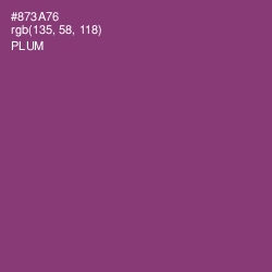 #873A76 - Plum Color Image