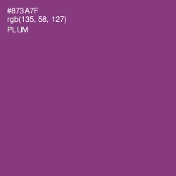 #873A7F - Plum Color Image