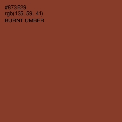 #873B29 - Burnt Umber Color Image