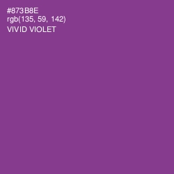 #873B8E - Vivid Violet Color Image