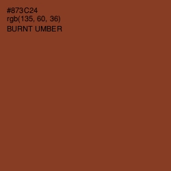 #873C24 - Burnt Umber Color Image