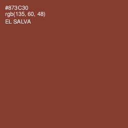 #873C30 - El Salva Color Image