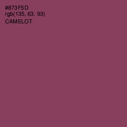 #873F5D - Camelot Color Image