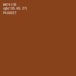 #87411B - Russet Color Image