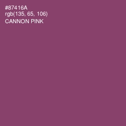 #87416A - Cannon Pink Color Image