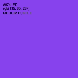 #8741ED - Medium Purple Color Image