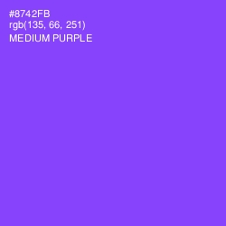 #8742FB - Medium Purple Color Image