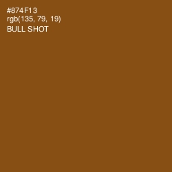 #874F13 - Bull Shot Color Image