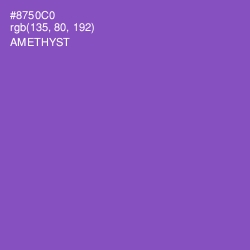 #8750C0 - Amethyst Color Image