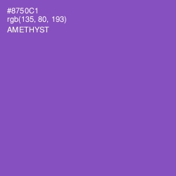 #8750C1 - Amethyst Color Image